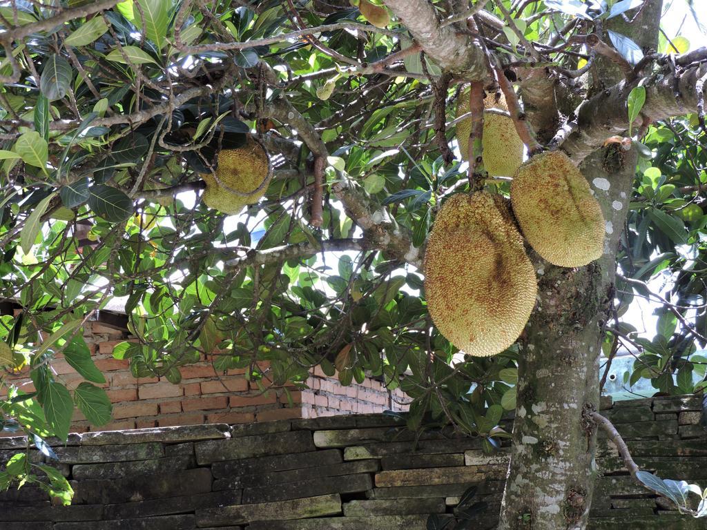 Pousada Casa Da Serra Sao Tome das Letras Luaran gambar